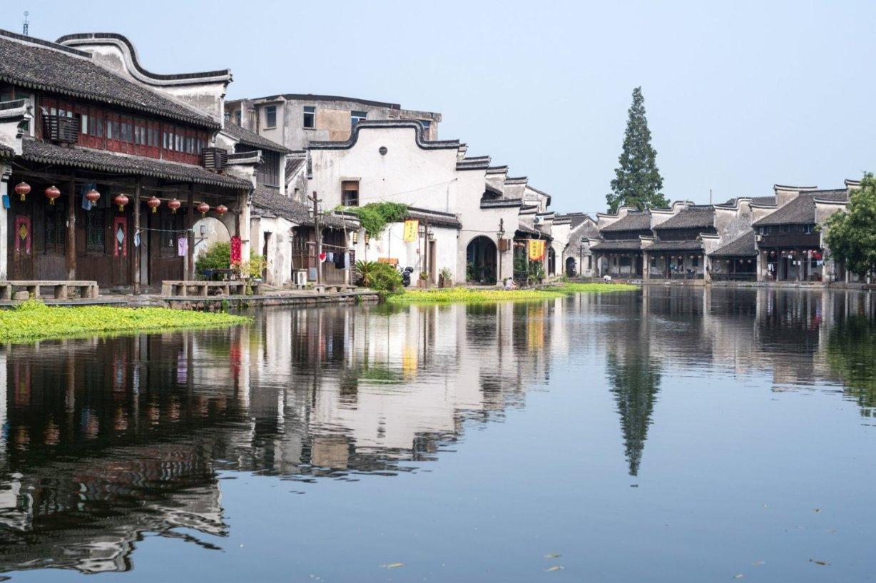 蝴蝶兰从这里“飞”入百姓家